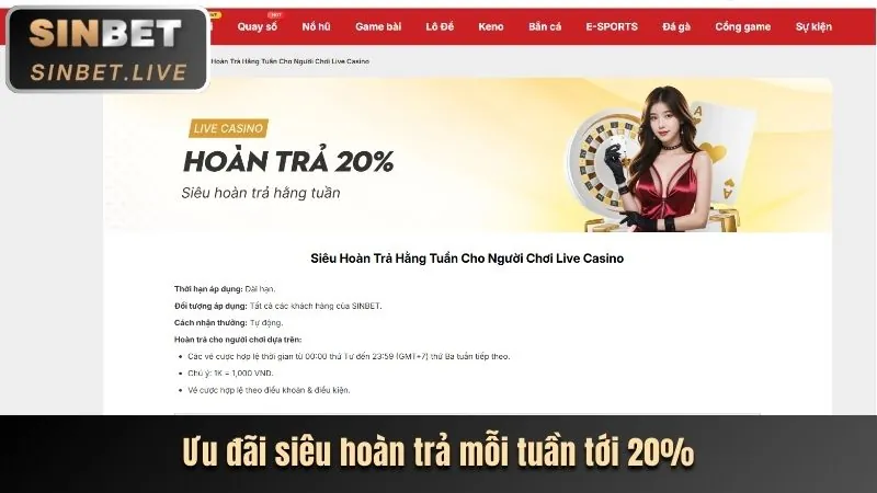 Hoàn trả hàng tuần/tháng cho người chơi đá gà